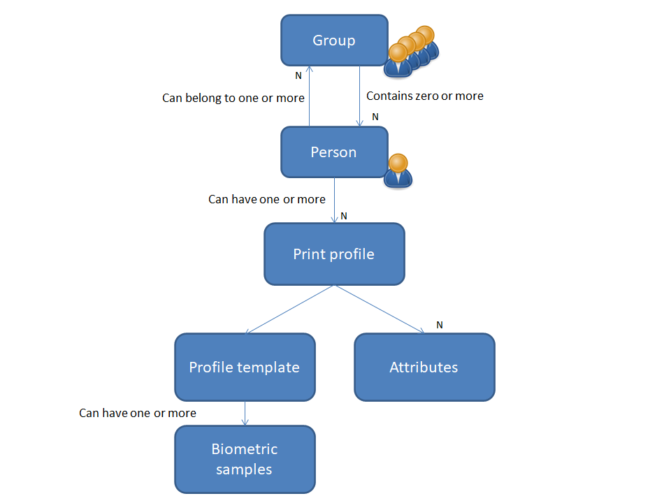 System Entities overview